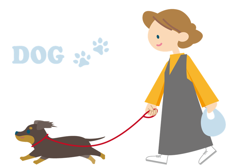 犬と散歩